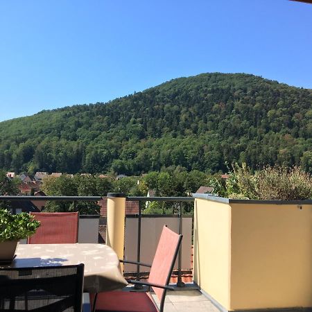 Le Panorama Apartment Kaysersberg-Vignoble Exterior photo