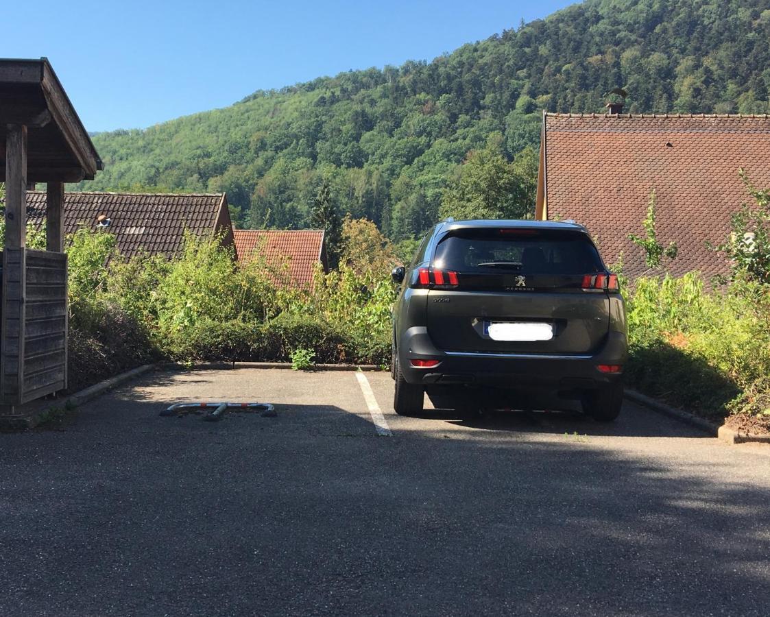 Le Panorama Apartment Kaysersberg-Vignoble Exterior photo